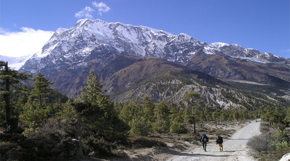 trekking