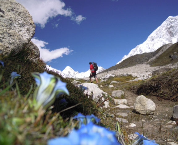 Everest Trail Everest Trail