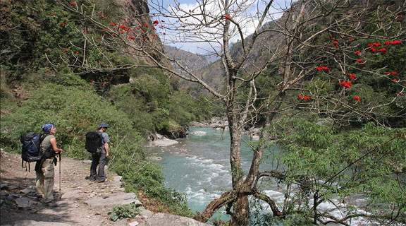 Expectations While Trekking in Nepal trekking