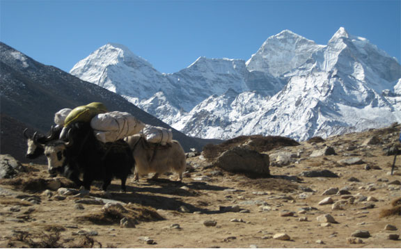 Journeying in the Himalayas Journeying in the Himalayas