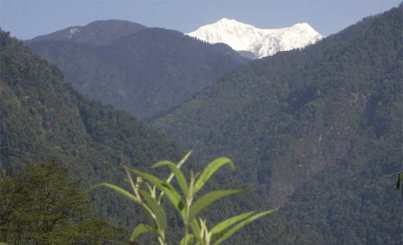 Glimpses of Mt Kanchendzonga Tour