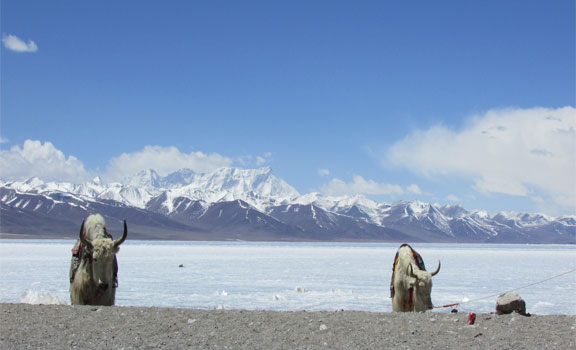 Namtso Lake