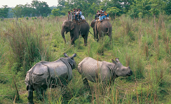Chitwan National Park