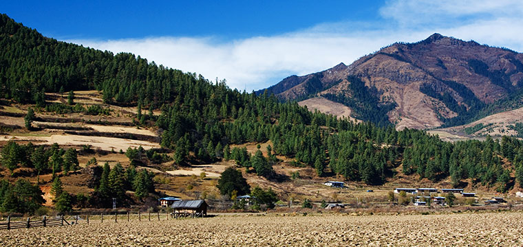 Bumthang Trek