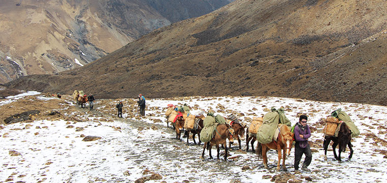 Chomolhari Trek