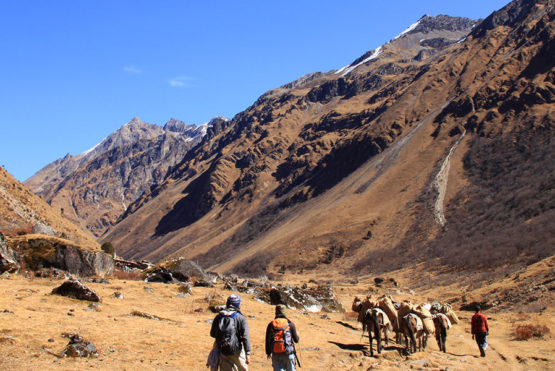 Trekking in Bhutan: A blissful Gateway Trekking in Bhutan