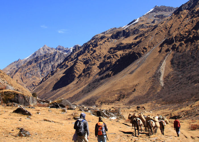 Trekking in Bhutan