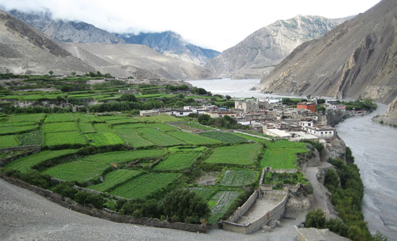 Lower Mustang