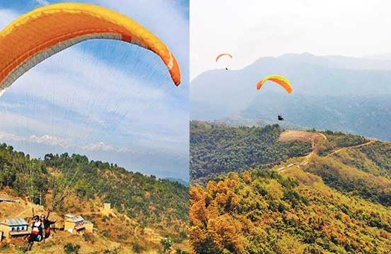 This bird you cannot tame paragliding in Pokhara