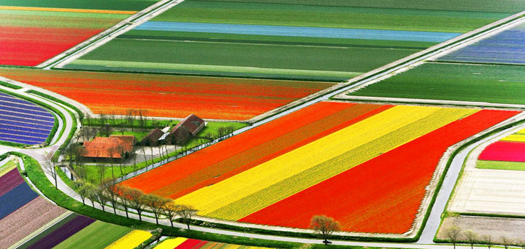holland