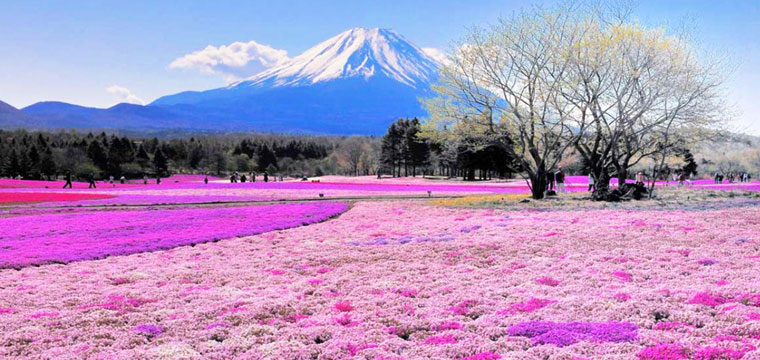 japan