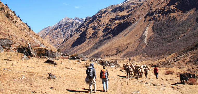 Chomolhari Trek