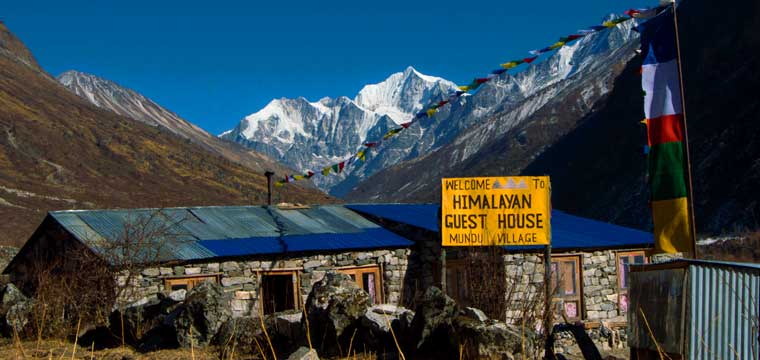 Mundu awaits visitors exhausted with a long day's trek on the lap of Langtang