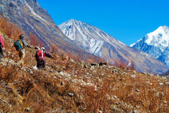 7 reasons to go for Langtang Valley Trek Langtang-trek
