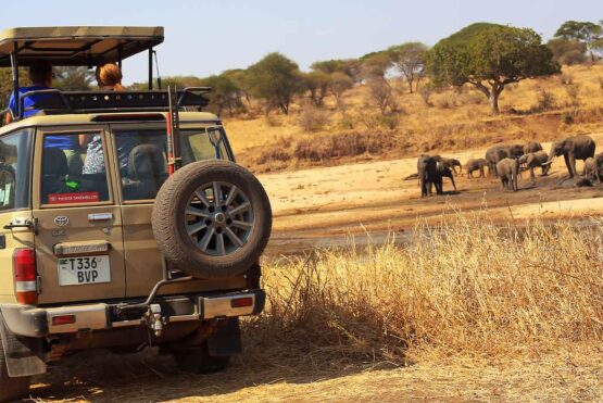 7 reasons to visit Tanzania this year Best Serengeti; Places to visit in Tanzania