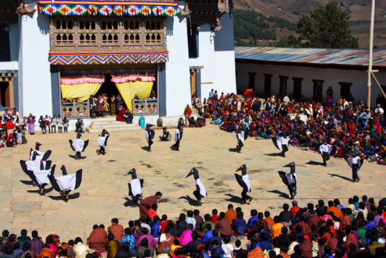 Black-Necked Crane Festival in Bhutan Bhutan Black-Necked Crane Festival Tour