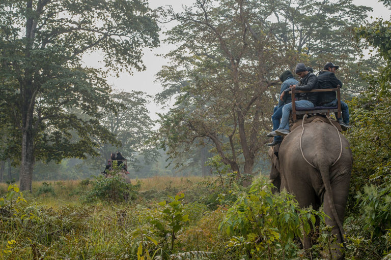 bardia national park tour