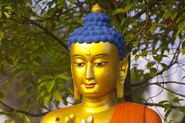 Footsteps of the Buddha Tour