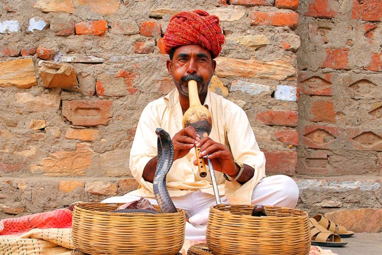 Sightseeing tour in India, Bhutan, Nepal and Tibet