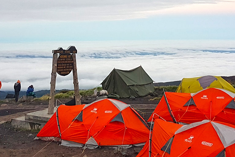 Kilimanjaro Camping Hike