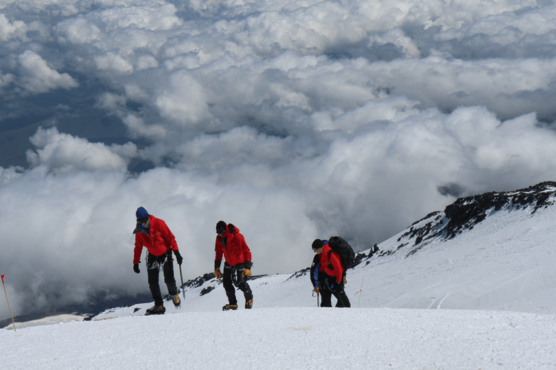 Trekkers climbing the Uhuru Peak via Lemosho route