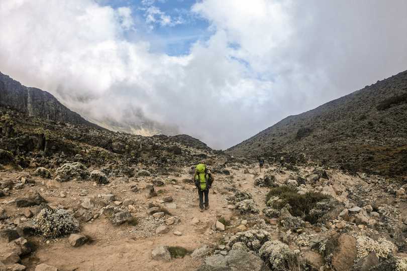 Trekkers on their way to Kilimanjaro Peak
