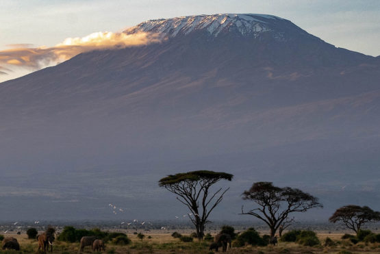 What is the best time to climb Mount Kilimanjaro? View of Mount Kilimanjaro during the best climate