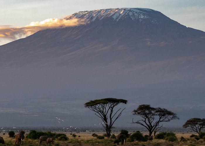 View of Mount Kilimanjaro during the best climate