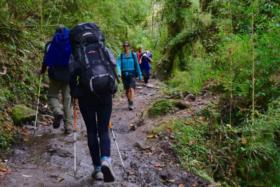 Packing List for Annapurna Base Camp Trek Trekkers on their way to the Annapurna Base Camp