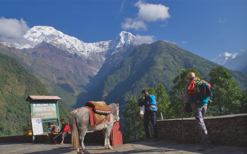 Chhomrong to Jhinu Danda