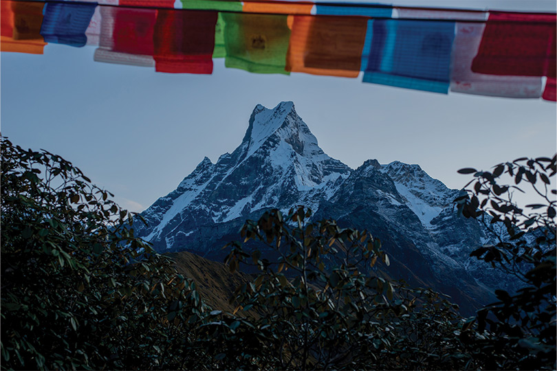 Mardi Himal Trek (Mardi Himal Base Camp Trek)
