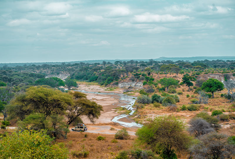 Ngorongoro Conservation Area; One of the best places to visit in Tanzania
