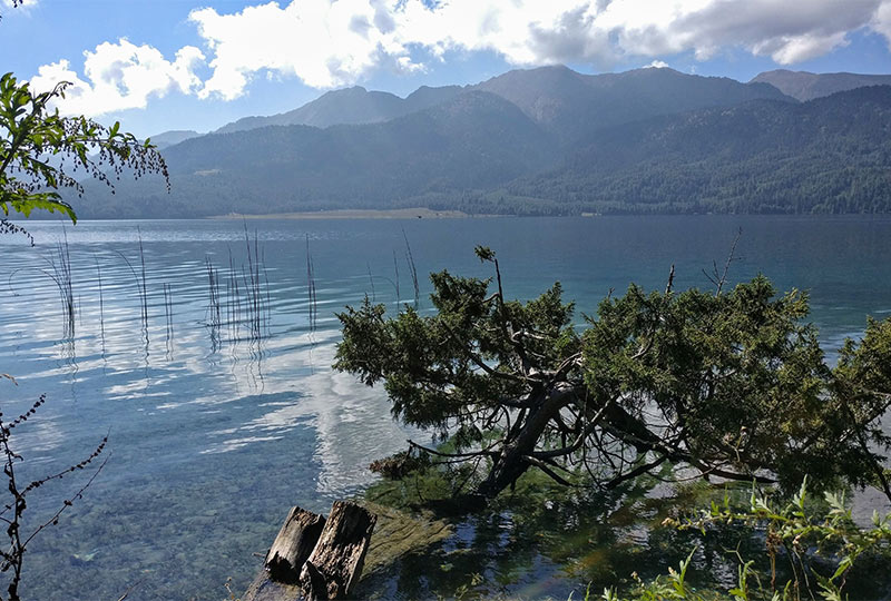 Rara Lake Trek Guide