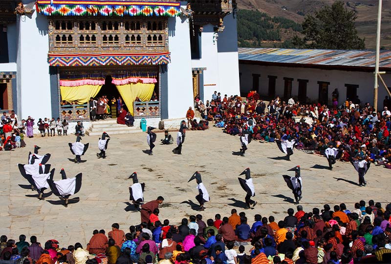 Black-Necked Crane Festival one of the most popular festivals in Bhutan
