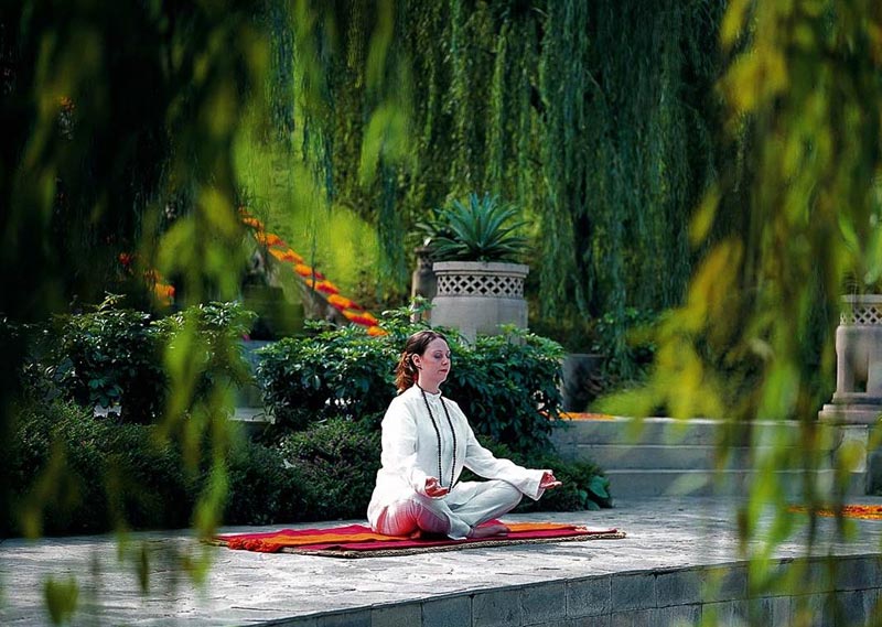 Ananda in the Himalayas