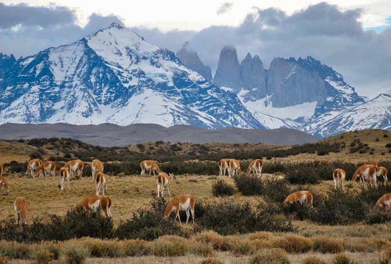 Torres del Paine, Torres de Paine, Chile