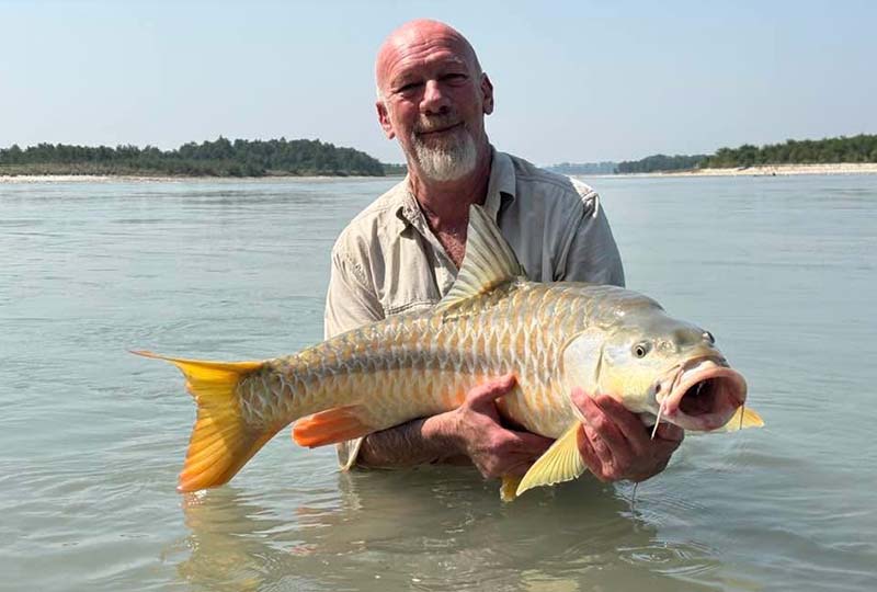 Golden Mahseer catching in Himalayan river